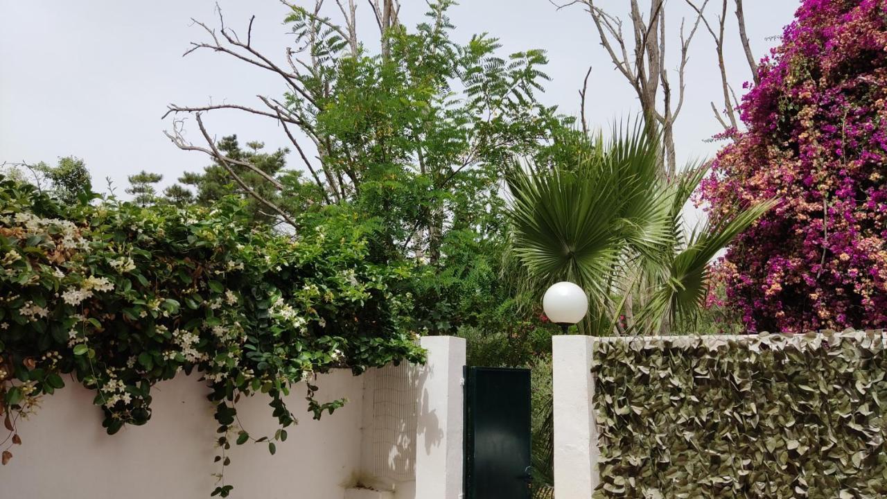 Apartamento Apartamento Artola Baja 24 Marbella